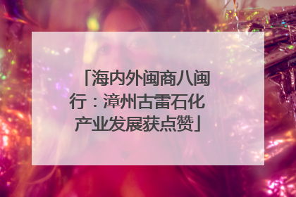 海内外闽商八闽行：漳州古雷石化产业发展获点赞