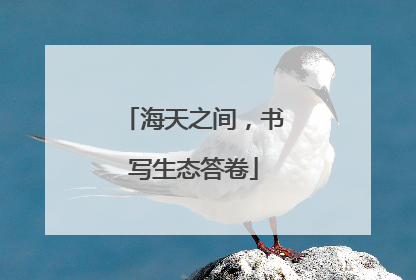 海天之间，书写生态答卷