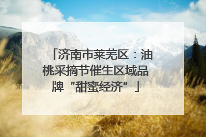 济南市莱芜区：油桃采摘节催生区域品牌“甜蜜经济”