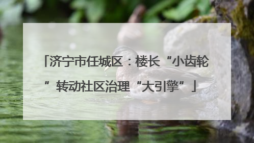 济宁市任城区：楼长“小齿轮”转动社区治理“大引擎”