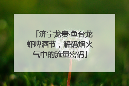 济宁龙贵·鱼台龙虾啤酒节，解码烟火气中的流量密码