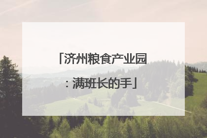 济州粮食产业园：满班长的手