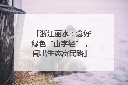 浙江丽水：念好绿色“山字经”，闯出生态富民路