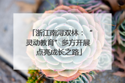 浙江南浔双林：“灵动教育”多方开展 点亮成长之路