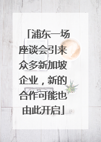 浦东一场座谈会引来众多新加坡企业，新的合作可能也由此开启