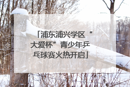 浦东浦兴学区“大爱杯”青少年乒乓球赛火热开启