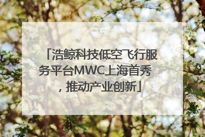 浩鲸科技低空飞行服务平台MWC上海首秀，推动产业创新