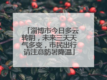 淄博市今日多云转阴，未来三天天气多变，市民出行请注意防暑降温