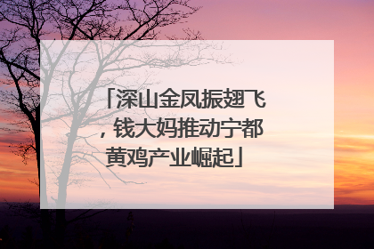 深山金凤振翅飞，钱大妈推动宁都黄鸡产业崛起