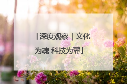 深度观察｜文化为魂 科技为翼