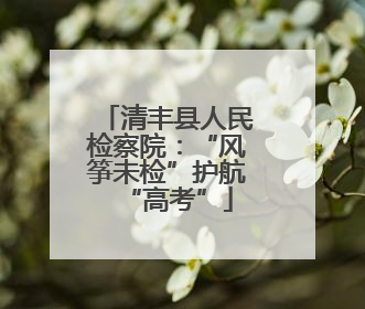 清丰县人民检察院：“风筝未检”护航“高考”
