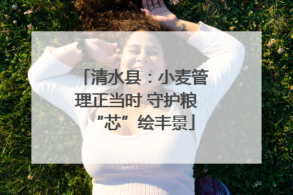 清水县：小麦管理正当时 守护粮“芯”绘丰景