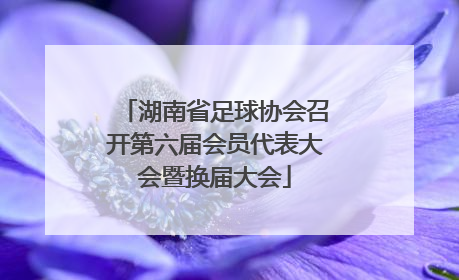 湖南省足球协会召开第六届会员代表大会暨换届大会