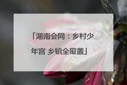 湖南会同：乡村少年宫 乡镇全覆盖