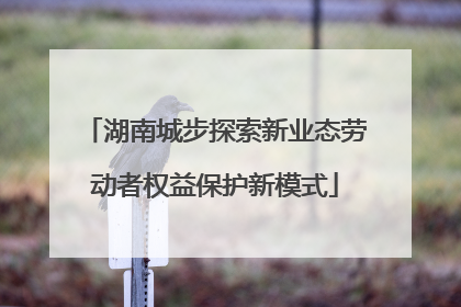 湖南城步探索新业态劳动者权益保护新模式