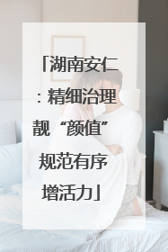 湖南安仁：精细治理靓“颜值” 规范有序增活力
