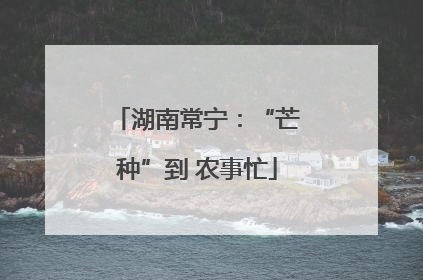 湖南常宁：“芒种”到 农事忙