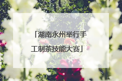 湖南永州举行手工制茶技能大赛