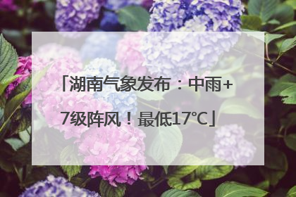 湖南气象发布：中雨+7级阵风！最低17℃