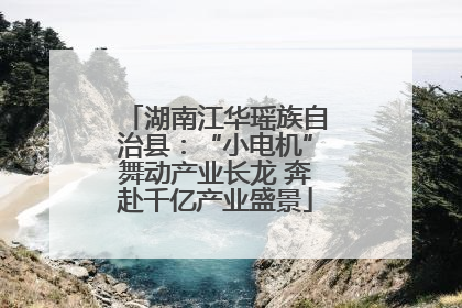 湖南江华瑶族自治县：“小电机”舞动产业长龙 奔赴千亿产业盛景