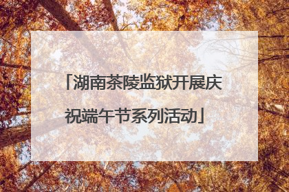 湖南茶陵监狱开展庆祝端午节系列活动