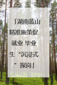 湖南蓝山精准施策促就业 毕业生“沉浸式”探岗