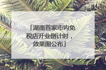 湖南首家市内免税店开业倒计时，效果图公布