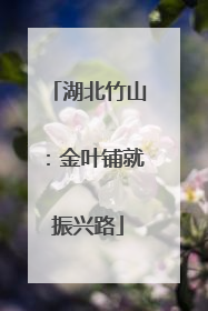 湖北竹山：金叶铺就振兴路