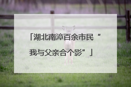 湖北南漳百余市民“我与父亲合个影”
