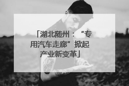 湖北随州：“专用汽车走廊”掀起产业新变革