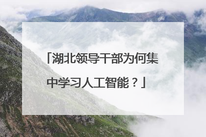 湖北领导干部为何集中学习人工智能？