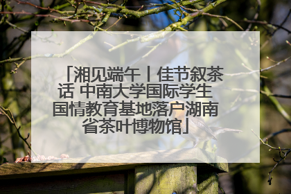 湘见端午丨佳节叙茶话 中南大学国际学生国情教育基地落户湖南省茶叶博物馆