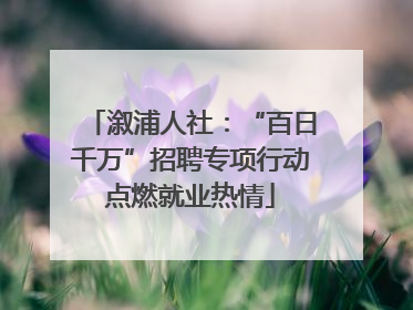 溆浦人社：“百日千万”招聘专项行动点燃就业热情