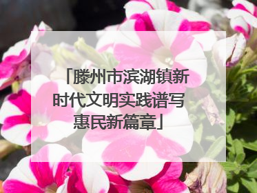 滕州市滨湖镇新时代文明实践谱写惠民新篇章