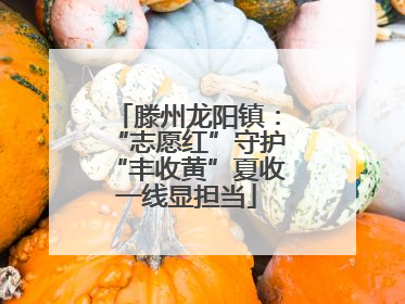 滕州龙阳镇：“志愿红”守护“丰收黄”夏收一线显担当