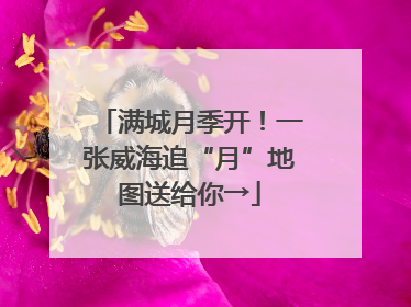 满城月季开！一张威海追“月”地图送给你→