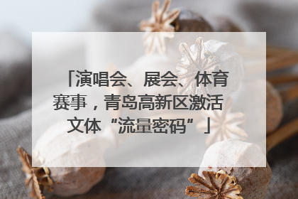 演唱会、展会、体育赛事，青岛高新区激活文体“流量密码”