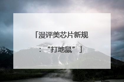 漫评美芯片新规：“打地鼠”