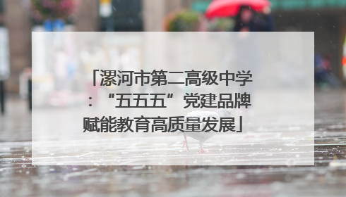 漯河市第二高级中学：“五五五”党建品牌赋能教育高质量发展