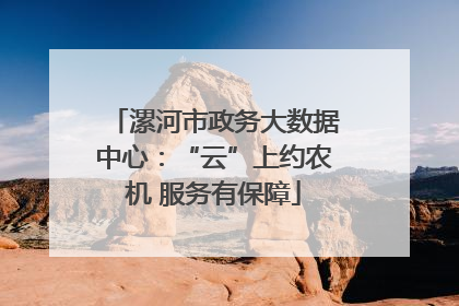 漯河市政务大数据中心：“云”上约农机 服务有保障