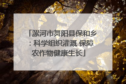 漯河市舞阳县保和乡：科学组织灌溉 保障农作物健康生长