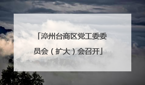 漳州台商区党工委委员会（扩大）会召开