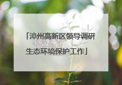 漳州高新区领导调研生态环境保护工作
