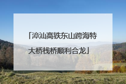 漳汕高铁东山跨海特大桥栈桥顺利合龙