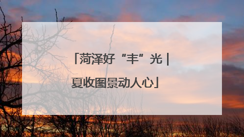 菏泽好“丰”光｜夏收图景动人心