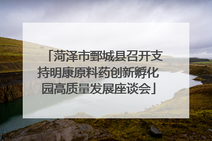 菏泽市鄄城县召开支持明康原料药创新孵化园高质量发展座谈会