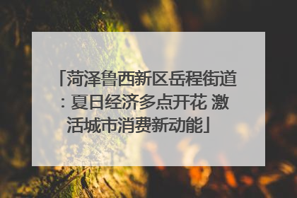 菏泽鲁西新区岳程街道：夏日经济多点开花 激活城市消费新动能