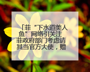 菲“下水道美人鱼”网络引关注 菲政府部门考虑请其当官方大使，赠现金开店