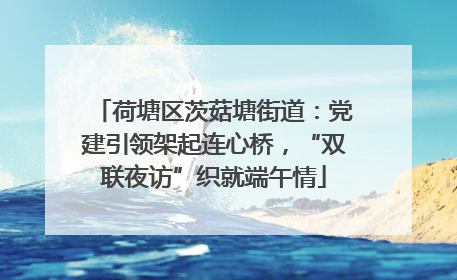 荷塘区茨菇塘街道：党建引领架起连心桥，“双联夜访”织就端午情