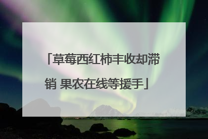 草莓西红柿丰收却滞销 果农在线等援手